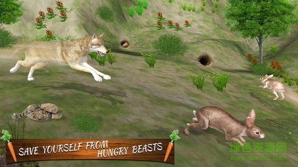 终极兔子模拟器 终极兔子模拟器