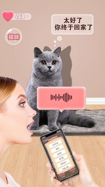 猫咪语言翻译器 猫咪语言翻译器