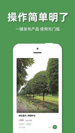 好苗木 好苗木