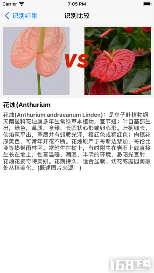 植物识别 植物识别