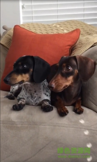 短视频美拍秀 短视频美拍秀