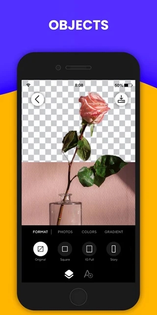 背景移除 背景移除