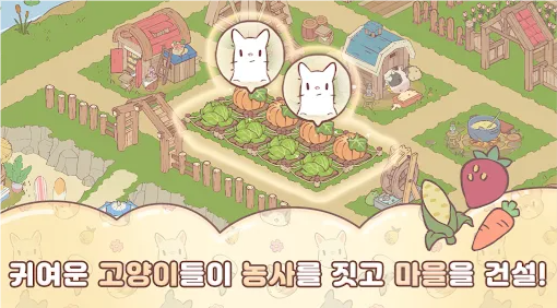 猫咪和汤 猫咪和汤