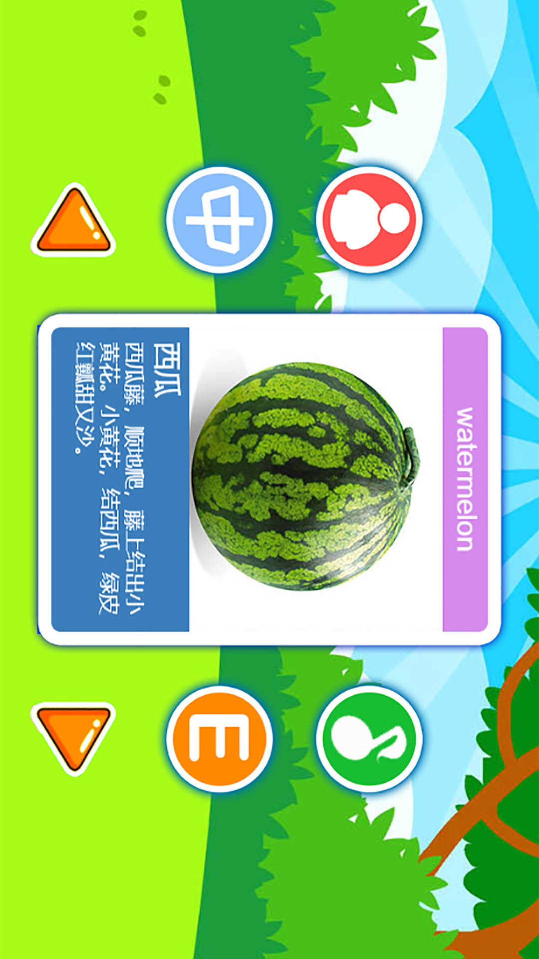 儿童益智切水果 儿童益智切水果