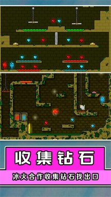 森林生存大作战 森林生存大作战