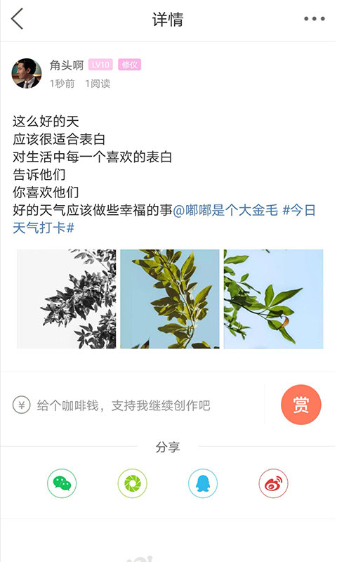 自贡在线西秦会馆 自贡在线西秦会馆