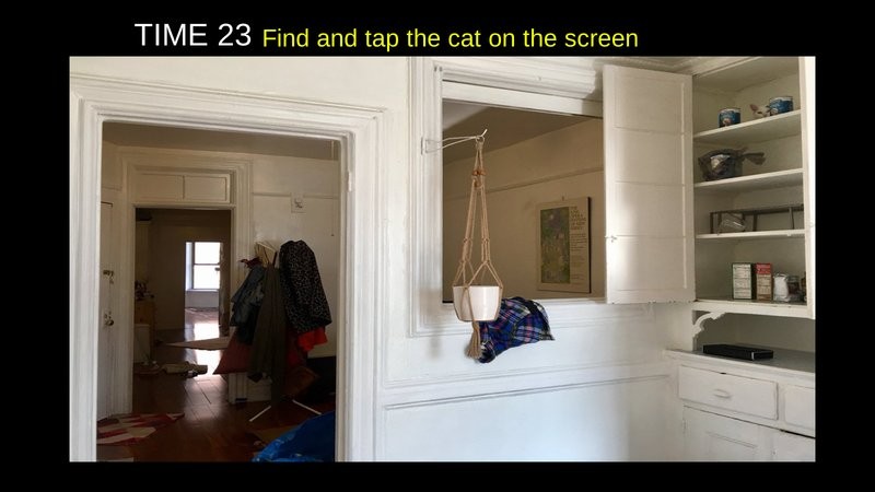 寻找隐藏猫咪 寻找隐藏猫咪