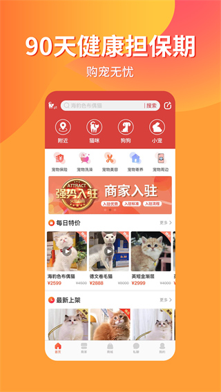 宠物市场 宠物市场