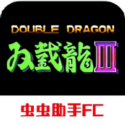 双截龙3：超级技能版