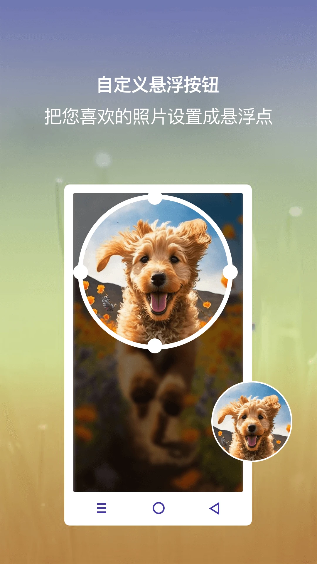 小白点虚拟按键 小白点虚拟按键