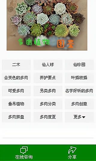 多肉联萌 多肉联萌
