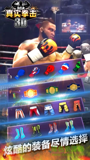 真实拳击对决 真实拳击对决