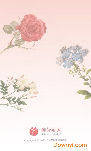 鲜花到家 鲜花到家