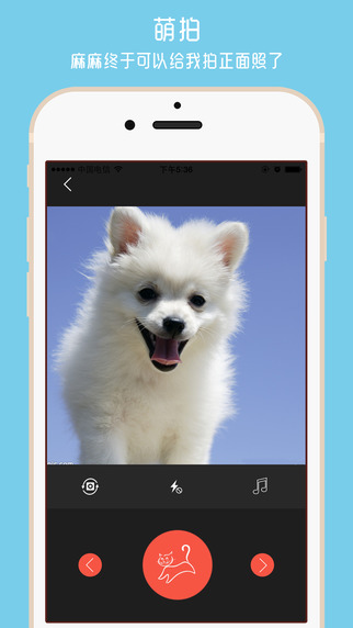 养宠无忧 养宠无忧