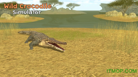 鳄鱼模拟器 鳄鱼模拟器